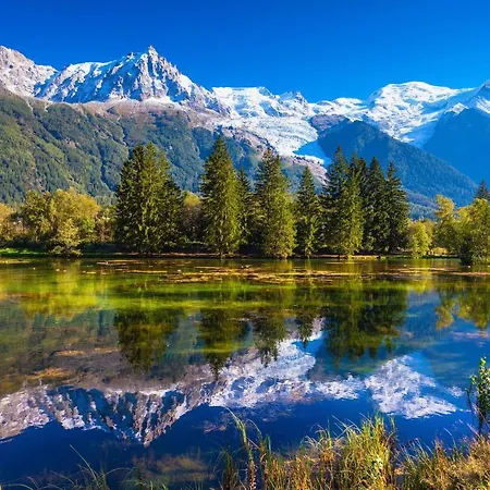 Appartement Sud - Jonquilles 30 - Happy Chamonix