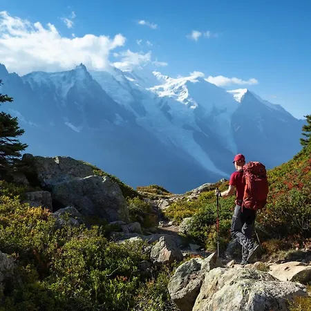 Appartement Sud - Jonquilles 30 - Happy Chamonix